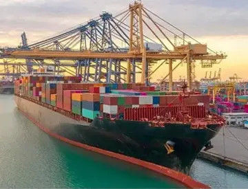 Logistik 7x24H, die Services in Shekou-Hafen einlagert