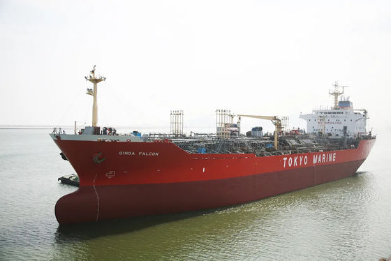 Globaler China-Absender-Export-Import-internationales Fracht-Seeverschiffen