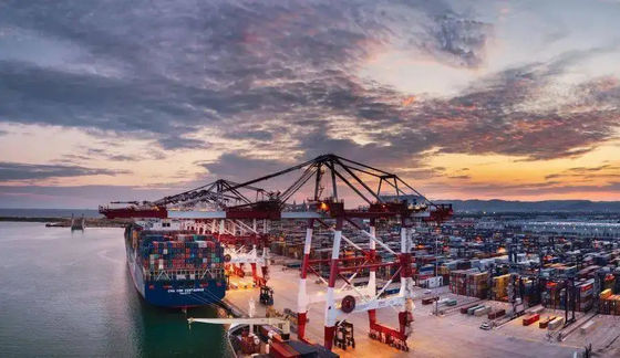 Qualität Seespediteurs-internationaler Ozean-Spediteur von China nach Vietnam Fabrik