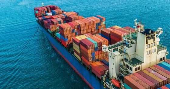 Qualität Ozean-Fracht-Absender Shenzhen FCL internationaler nach Karatschi Fabrik