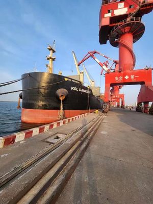 Qualität UHRKETTE internationaler Ozean-Spediteur Lianyungang Xingang nach Singapur Fabrik